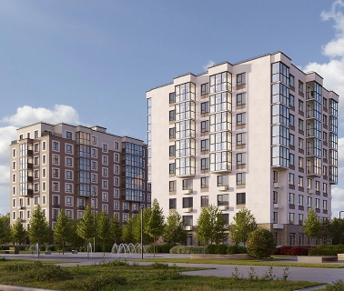 Брусника в Новоселье