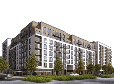 Брусника в Академическом