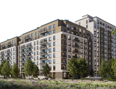 Лебедевский