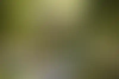 Зелёная комната в цветах