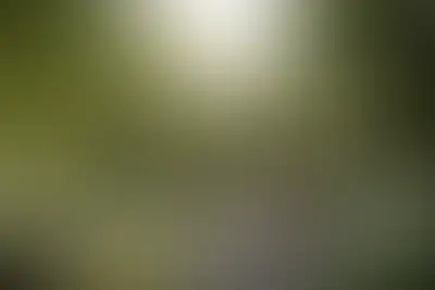 Зелёная комната рядом с прудом