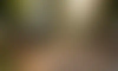 Настольные игры