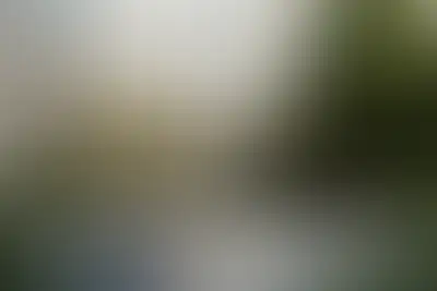 Настольный теннис