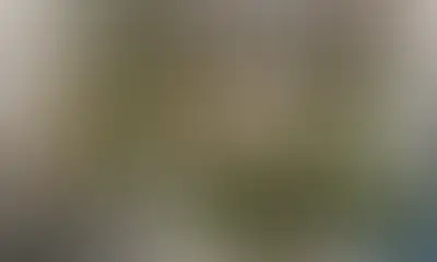Центральный навес