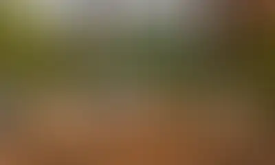 Зона отдыха