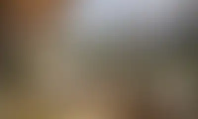 Квартиры с террасами во дворе