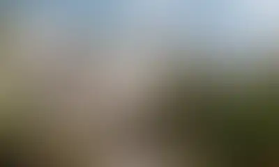 Таунхаусы