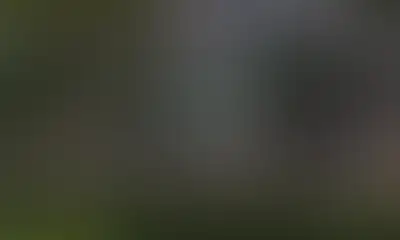 Теннисный стол