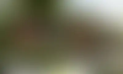 Беседка