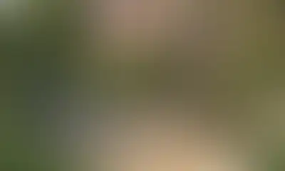 Песочница