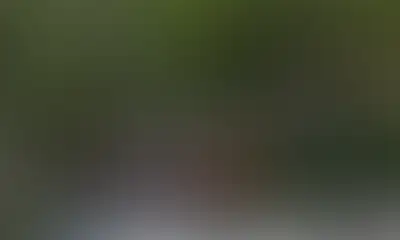 Зона для тихого отдыха с мебелью