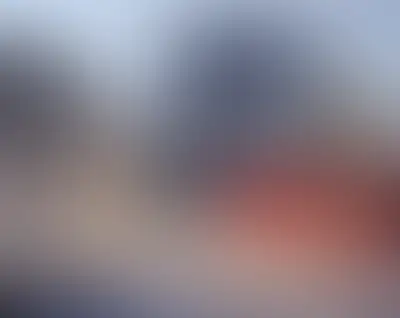 Брусника в Новоселье