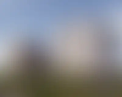 Брусника в Новоселье