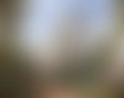 Северный ветер