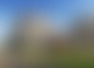 Брусника в Эльтауне