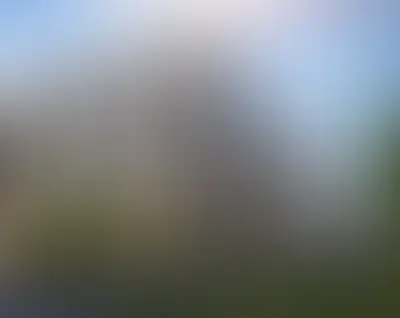 Брусника в Новоселье